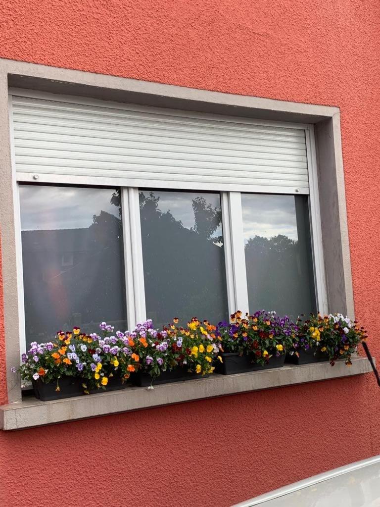 Couleur Framboise Appartement Longwy Buitenkant foto