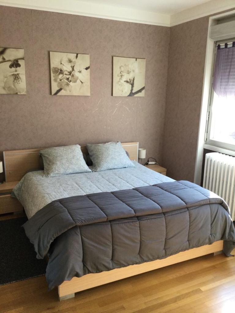 Couleur Framboise Appartement Longwy Buitenkant foto